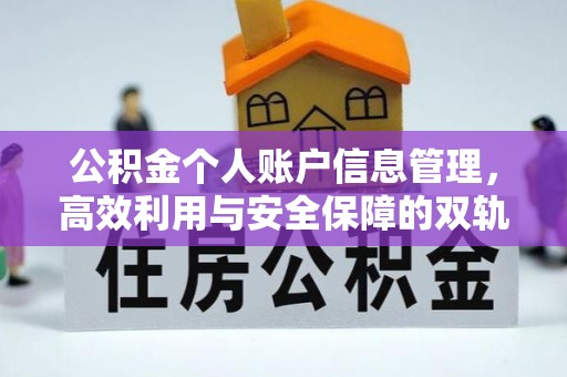 将军公积金个人账户信息管理，高效利用与安全保障的双轨并行