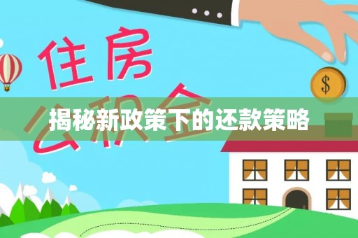 将军揭秘新政策下的还款策略
