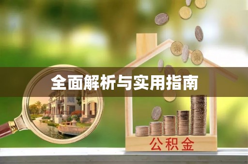 将军全面解析与实用指南