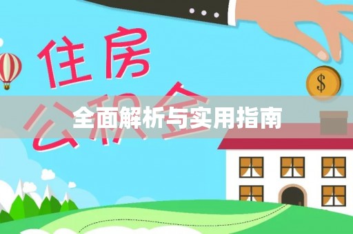 将军全面解析与实用指南