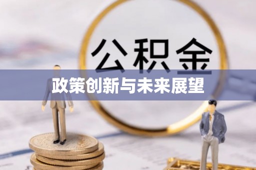 将军政策创新与未来展望