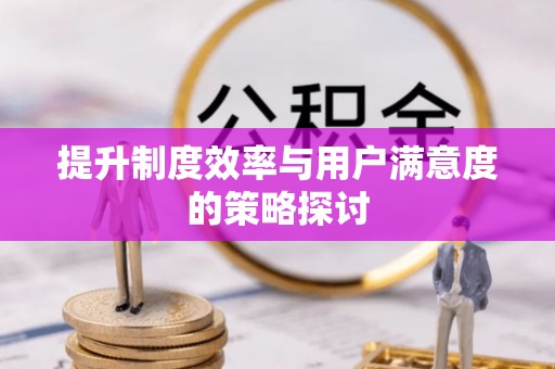将军提升制度效率与用户满意度的策略探讨