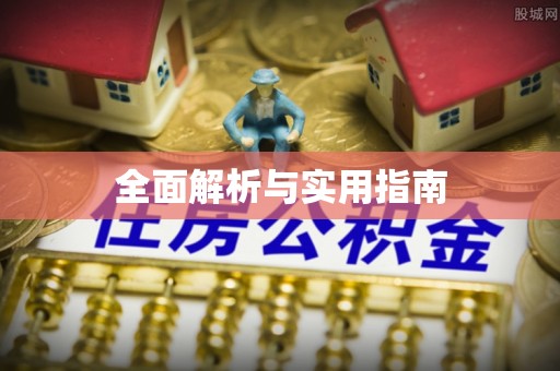 将军全面解析与实用指南