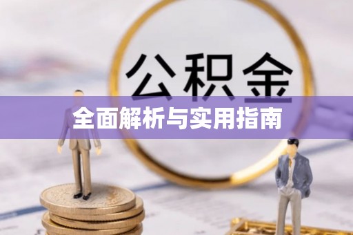 将军全面解析与实用指南